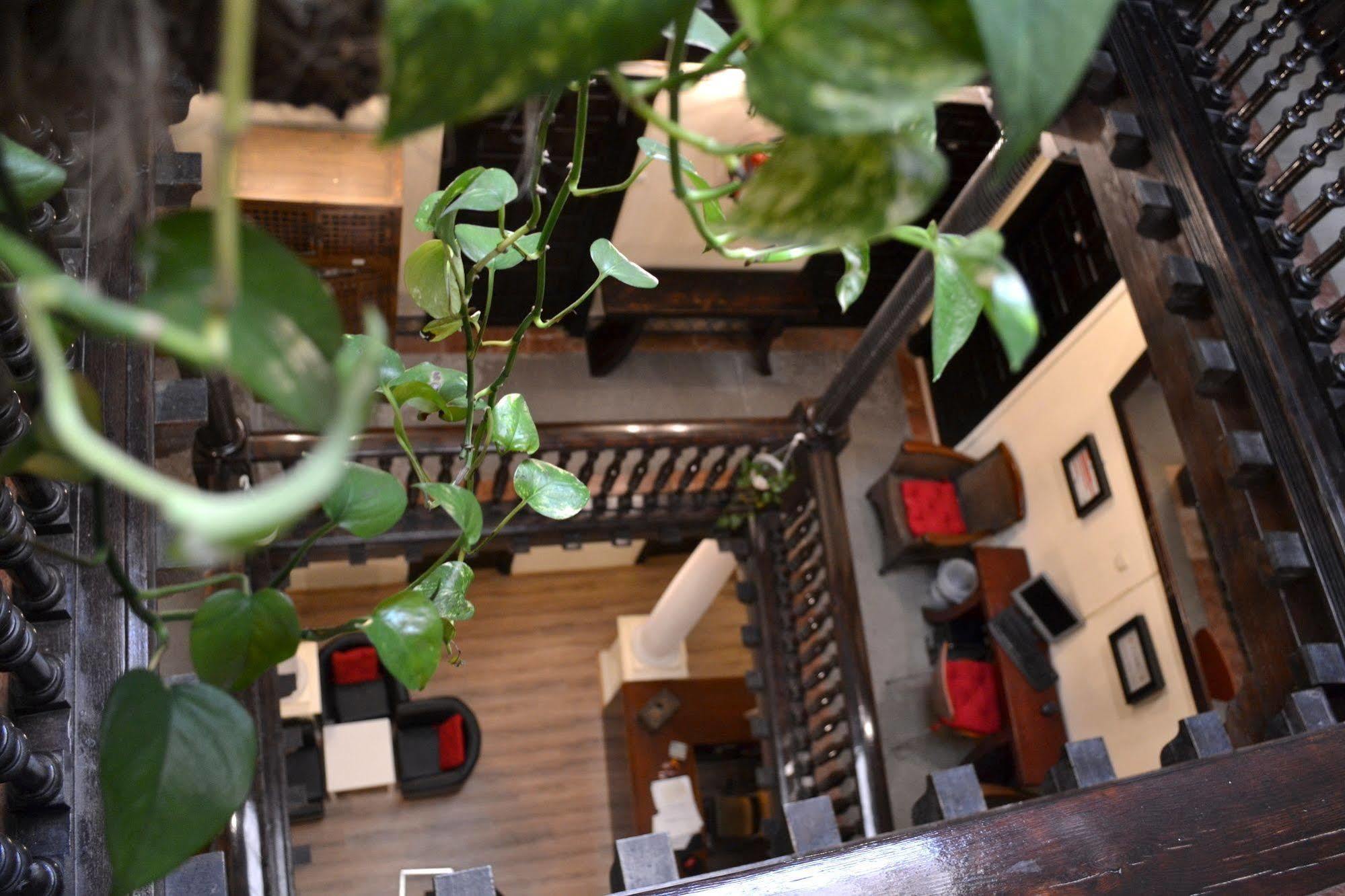 Bed & Breakfast Nuevo Suizo 2*